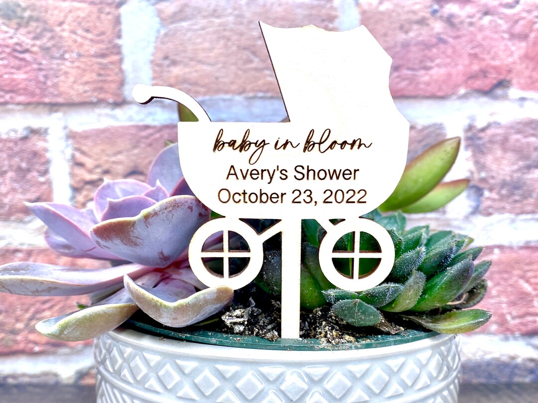 Baby in Bloom Baby Shower, Baby in Bloom Tags, Succulent Sticks, Baby Shower Plant Tag, Succulent Favors for Baby Shower, Baby Shower Favors